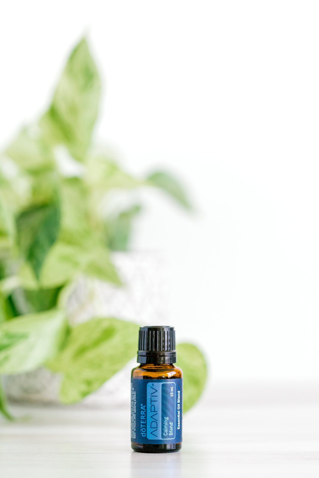 OneDropEssentialOils-1.jpg