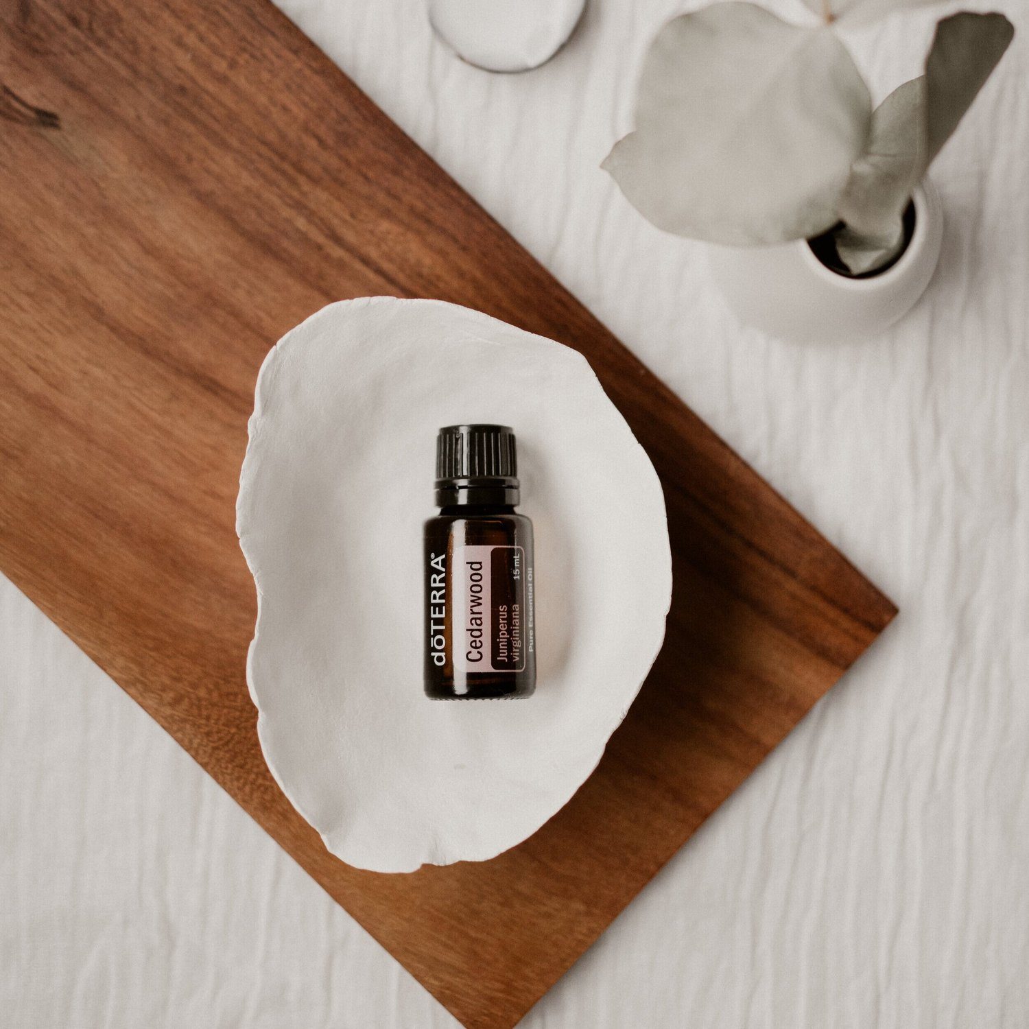 Doterra_TeodoraTinc_October19-14.jpg