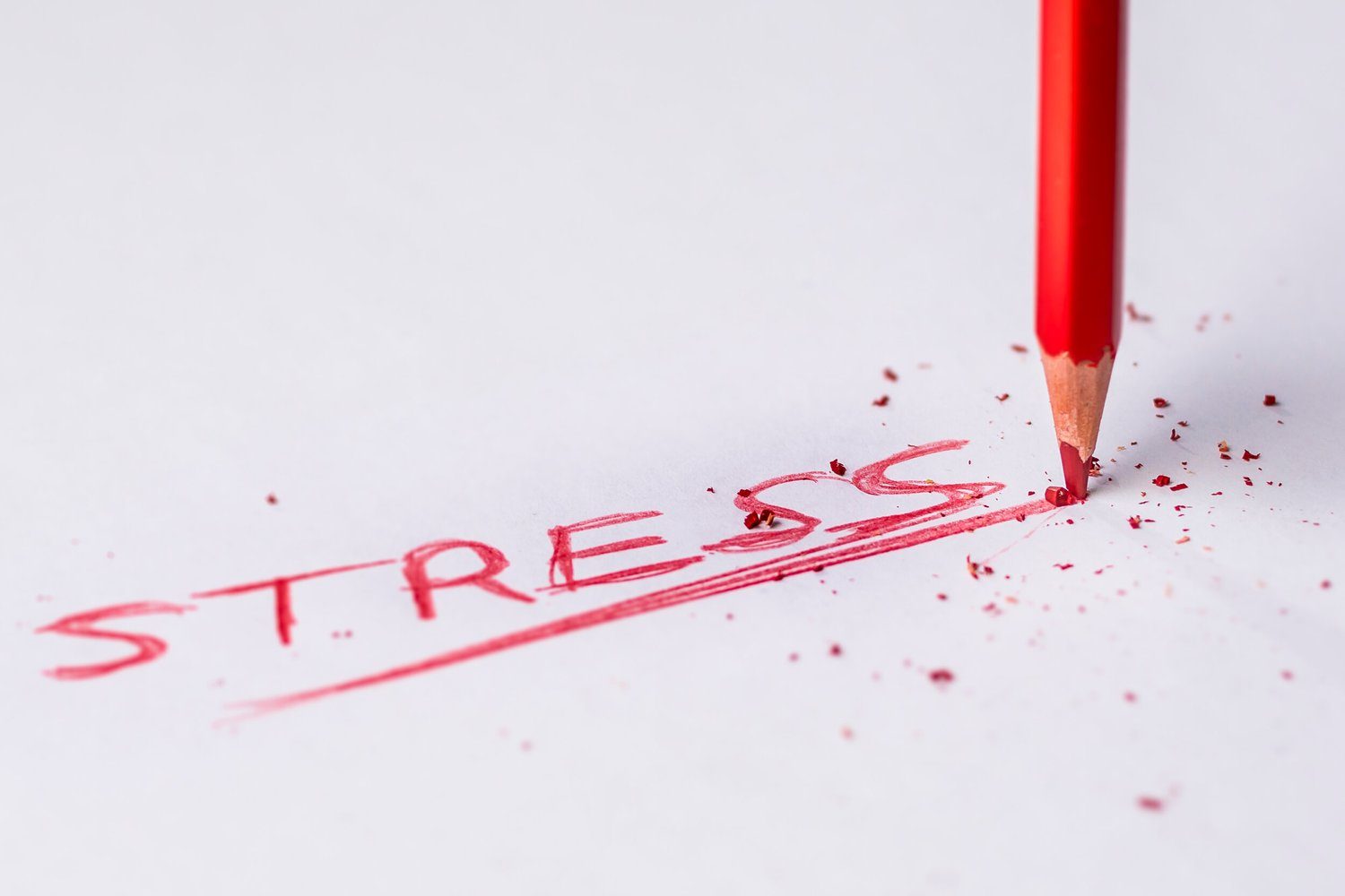 Canva - Stress Handwritten Text on White Printer Paper.jpg